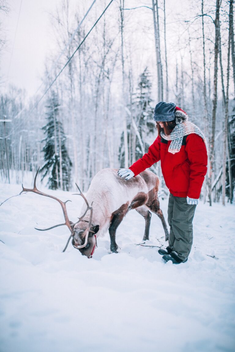 5 Reasons To Move To Alaska City Guide