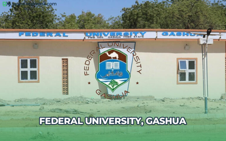 FUGASHUA