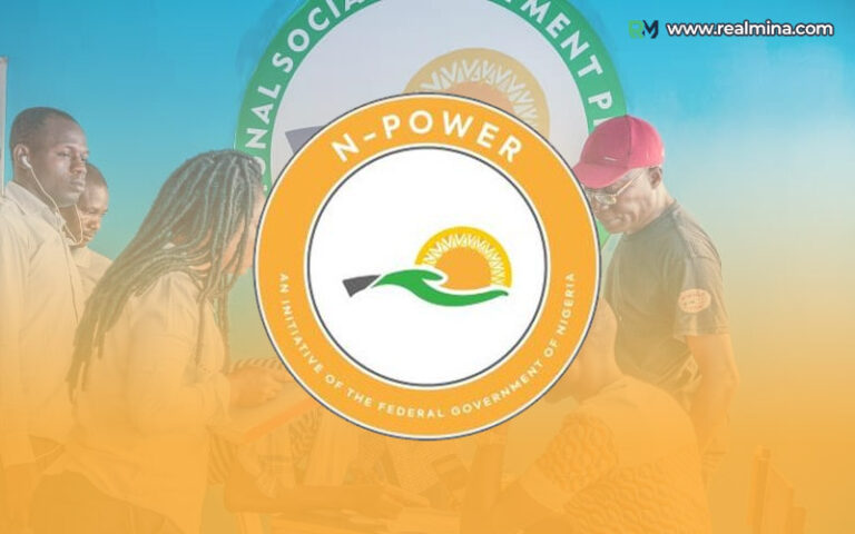 how to log in n-power portal