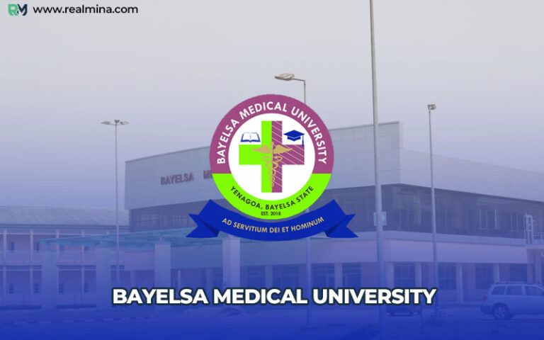 BMU