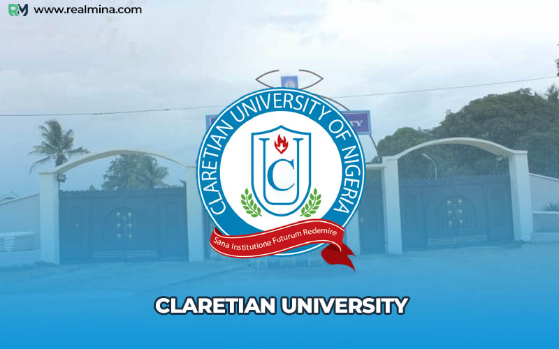 universities in imo state