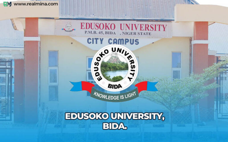 Edusoko University
