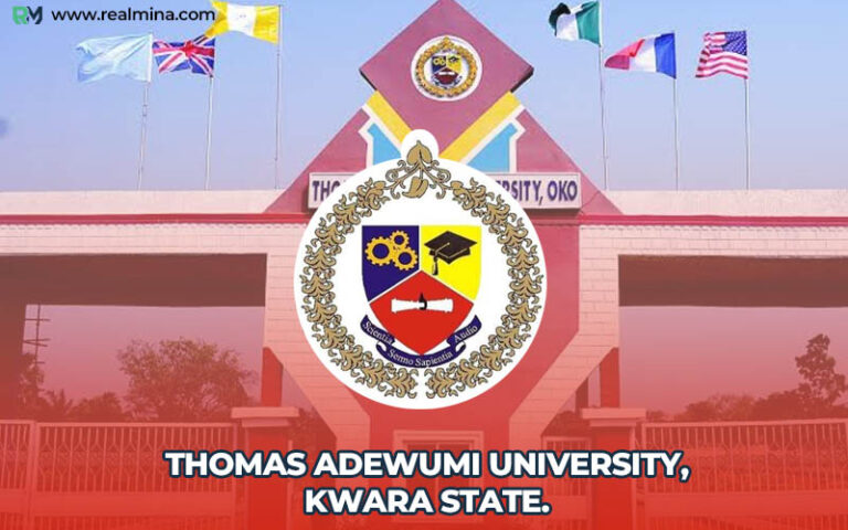 Thomas Adewumi University