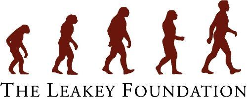 Leakey Foundation Research Grant